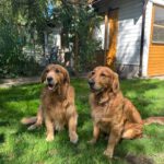 Lucie und Luca